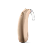 Terra sp